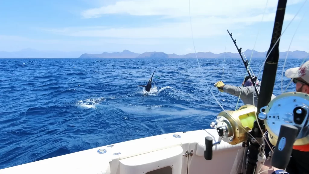 Рыбалка на яхте в открытом море с крупной рыбой на крючке.